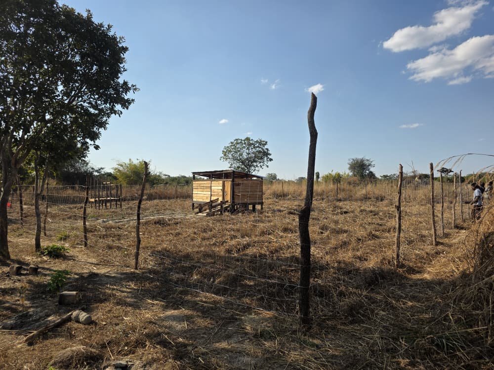 Goat housing
